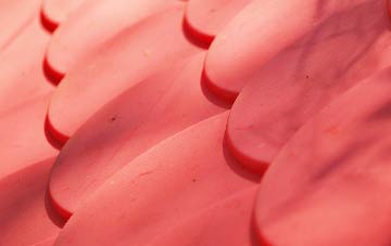 Polyphant plastic roof costs